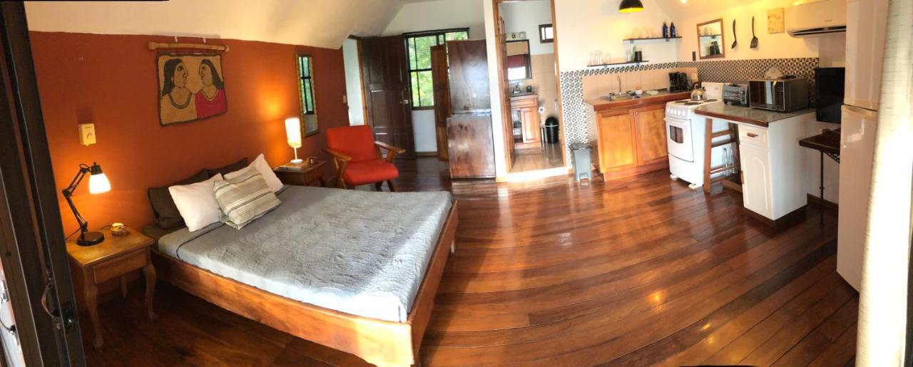 Cockatoo Studio Apartments マヌエル・アントニオ エクステリア 写真