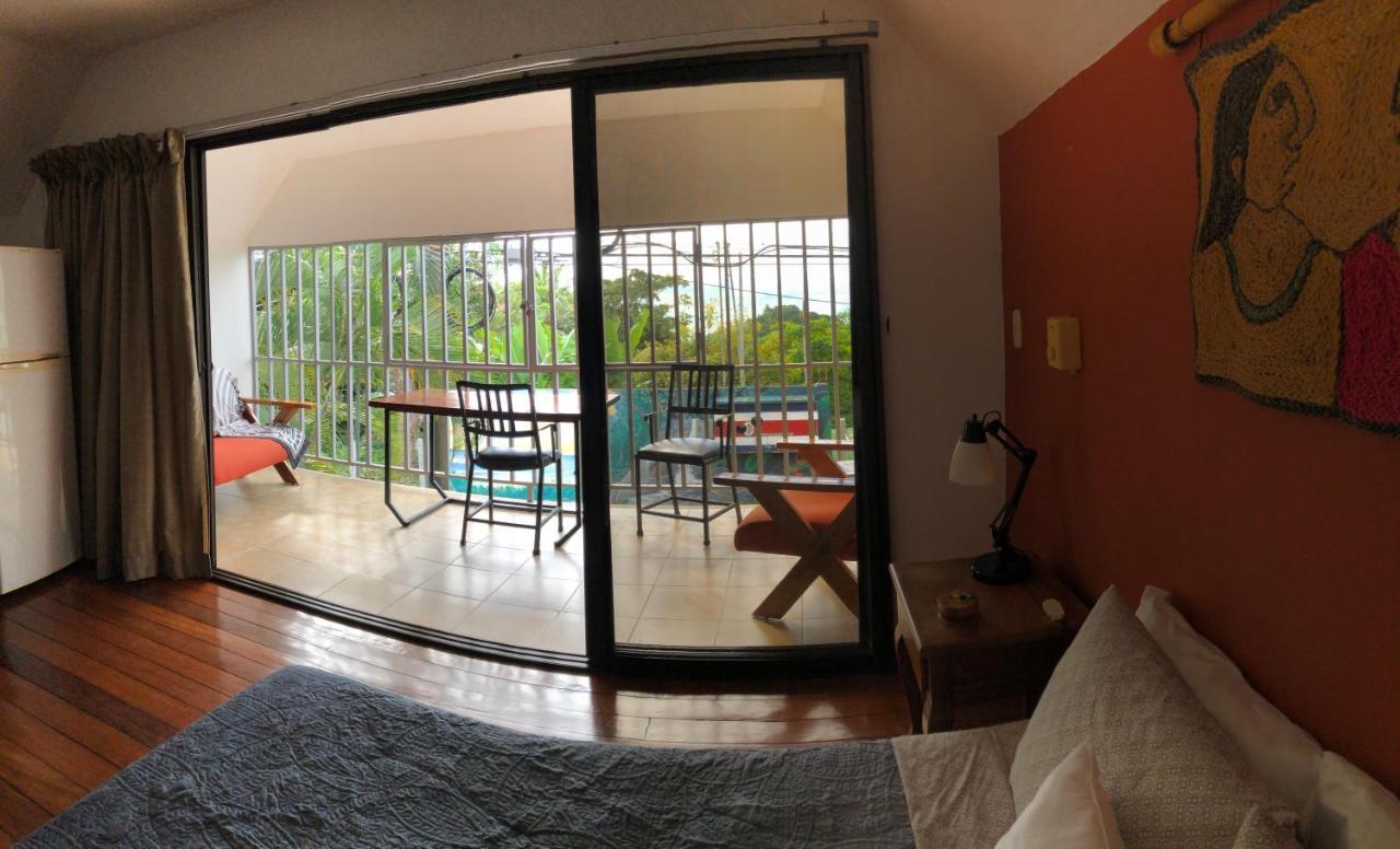 Cockatoo Studio Apartments マヌエル・アントニオ エクステリア 写真