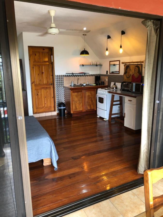 Cockatoo Studio Apartments マヌエル・アントニオ エクステリア 写真